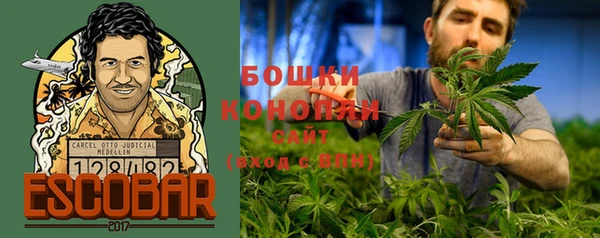 прущие грибы Белоозёрский