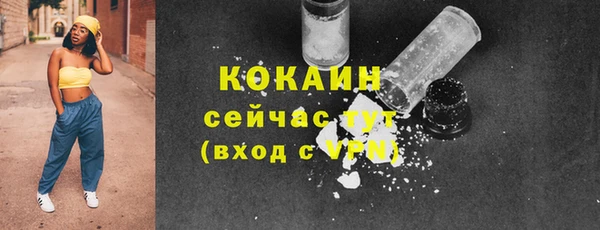 apvp Богородицк