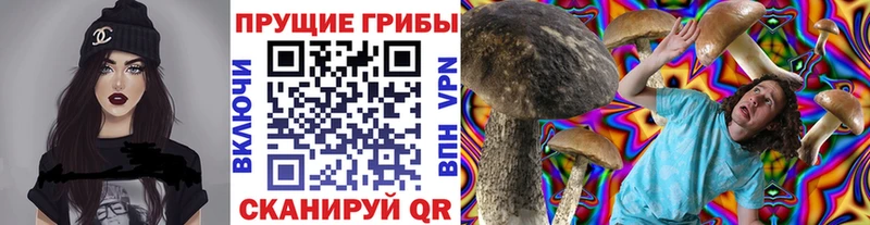 Псилоцибиновые грибы прущие грибы  где продают   Кораблино 